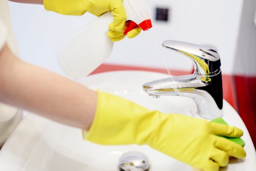 Steam carpet cleaning equipment in a Streatham home