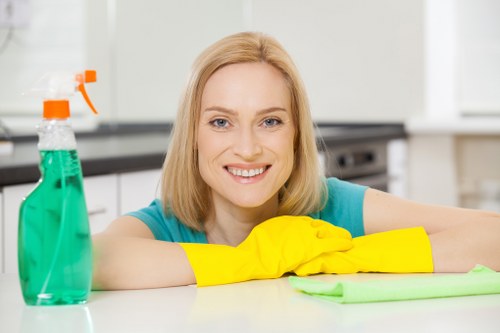 Deep sofa cleaning in a modern Streatham home