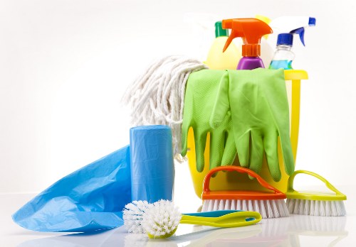 Professional pet stain odour removal in a Streatham home carpet
