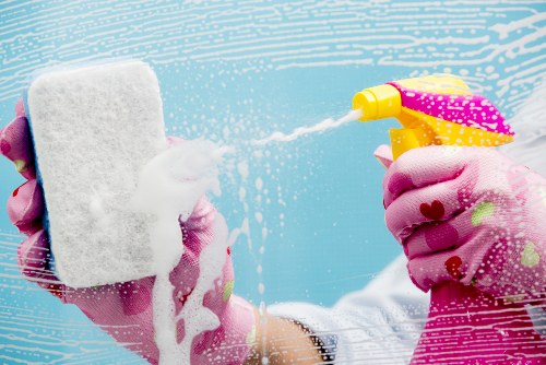 Local carpet cleaning specialists delivering detailed care for a home carpet