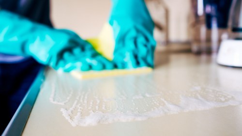 Team assessing a carpet cleaning concern
