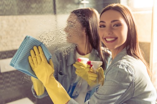 Deep cleaning treatment for pet odour and urine stains on upholstery