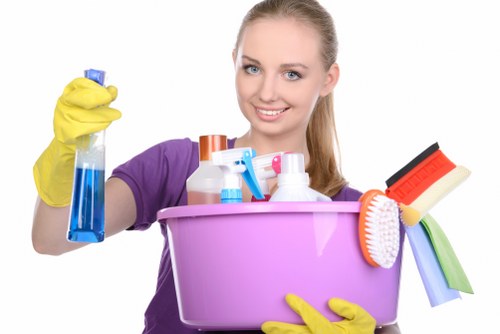 Service terms document for a carpet cleaning booking